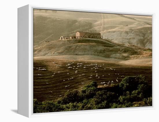 Late Afternoon in Tuscany-Monika Brand-Framed Premier Image Canvas