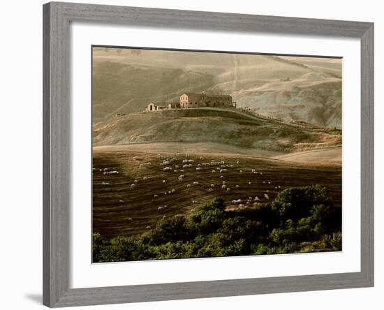 Late Afternoon in Tuscany-Monika Brand-Framed Photographic Print