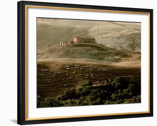 Late Afternoon in Tuscany-Monika Brand-Framed Photographic Print