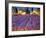 Late Afternoon, Lavender Fields-Philip Craig-Framed Giclee Print