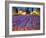 Late Afternoon, Lavender Fields-Philip Craig-Framed Giclee Print