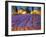 Late Afternoon, Lavender Fields-Philip Craig-Framed Giclee Print