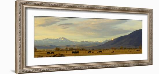 Late Afternoon Light Bathes a Majestic View of the Carson Valley in Nevada-John Alves-Framed Photographic Print