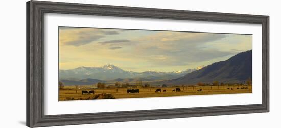 Late Afternoon Light Bathes a Majestic View of the Carson Valley in Nevada-John Alves-Framed Photographic Print