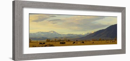 Late Afternoon Light Bathes a Majestic View of the Carson Valley in Nevada-John Alves-Framed Photographic Print