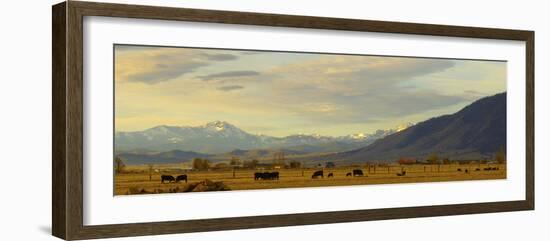 Late Afternoon Light Bathes a Majestic View of the Carson Valley in Nevada-John Alves-Framed Photographic Print