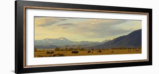 Late Afternoon Light Bathes a Majestic View of the Carson Valley in Nevada-John Alves-Framed Photographic Print