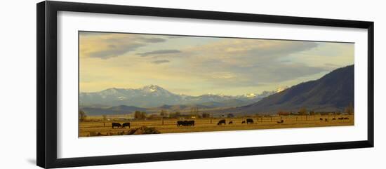 Late Afternoon Light Bathes a Majestic View of the Carson Valley in Nevada-John Alves-Framed Photographic Print