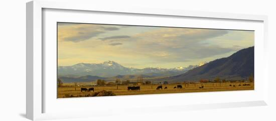 Late Afternoon Light Bathes a Majestic View of the Carson Valley in Nevada-John Alves-Framed Photographic Print