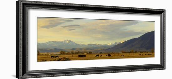 Late Afternoon Light Bathes a Majestic View of the Carson Valley in Nevada-John Alves-Framed Photographic Print