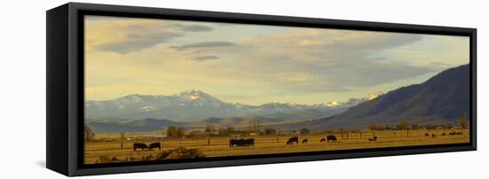 Late Afternoon Light Bathes a Majestic View of the Carson Valley in Nevada-John Alves-Framed Premier Image Canvas