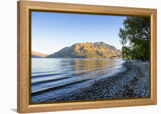 Late Afternoon Light over the Shores of Lake Wakatipu-Michael-Framed Premier Image Canvas