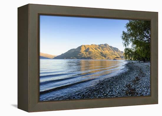 Late Afternoon Light over the Shores of Lake Wakatipu-Michael-Framed Premier Image Canvas