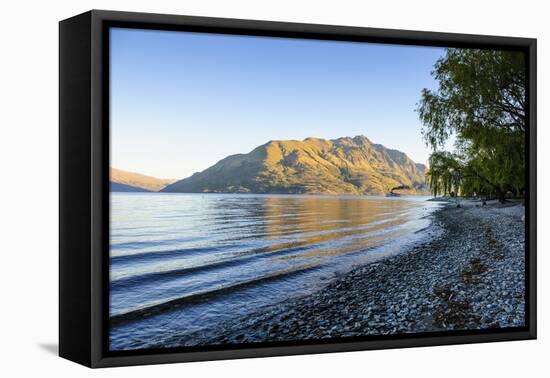 Late Afternoon Light over the Shores of Lake Wakatipu-Michael-Framed Premier Image Canvas