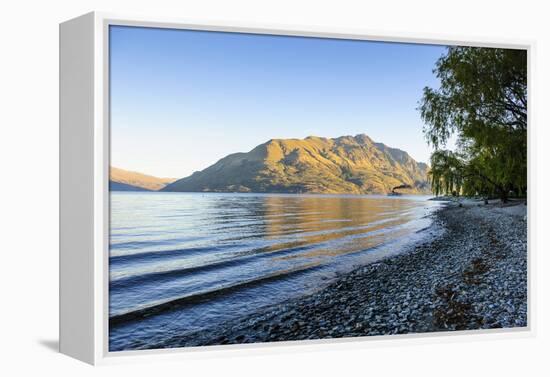 Late Afternoon Light over the Shores of Lake Wakatipu-Michael-Framed Premier Image Canvas