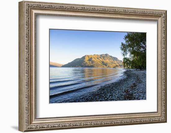 Late Afternoon Light over the Shores of Lake Wakatipu-Michael-Framed Photographic Print