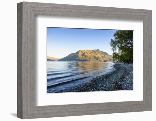 Late Afternoon Light over the Shores of Lake Wakatipu-Michael-Framed Photographic Print
