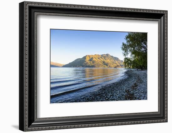 Late Afternoon Light over the Shores of Lake Wakatipu-Michael-Framed Photographic Print