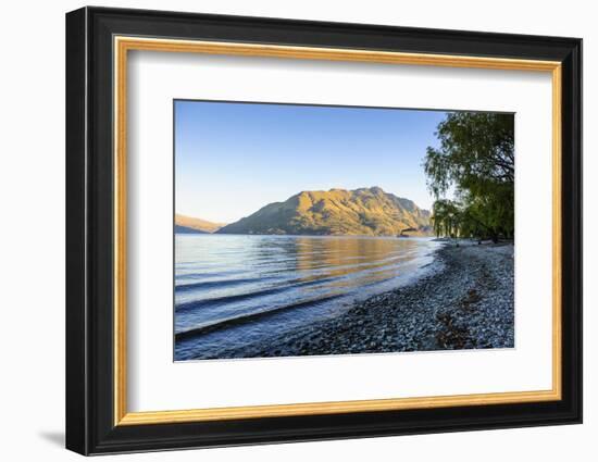 Late Afternoon Light over the Shores of Lake Wakatipu-Michael-Framed Photographic Print