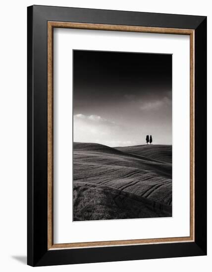 Late Afternoon Sunset on Twin Cypresses-Michael Hudson-Framed Art Print