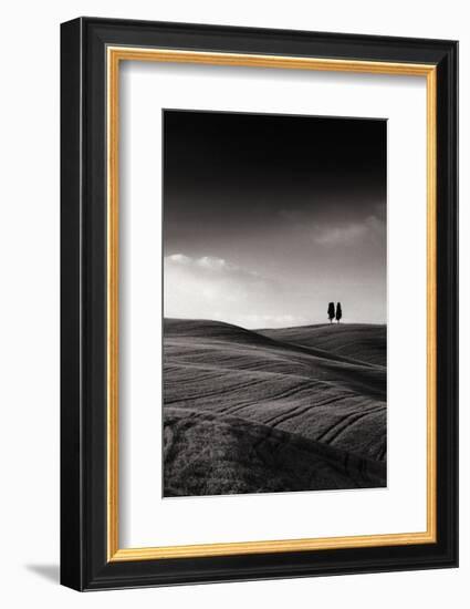 Late Afternoon Sunset on Twin Cypresses-Michael Hudson-Framed Art Print