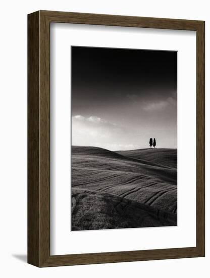 Late Afternoon Sunset on Twin Cypresses-Michael Hudson-Framed Art Print