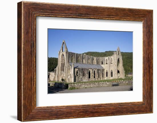 Late afternoon view of South and West sides of Tintern Abbey, Monmouthshire, Wales-Julian Pottage-Framed Photographic Print