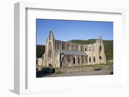 Late afternoon view of South and West sides of Tintern Abbey, Monmouthshire, Wales-Julian Pottage-Framed Photographic Print