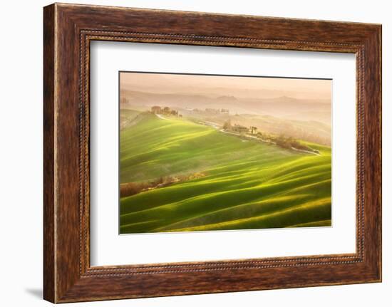 Late Afternoon-Marcin Sobas-Framed Photographic Print