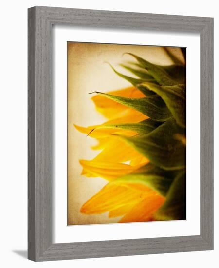 Late Bloomer-Jessica Rogers-Framed Giclee Print