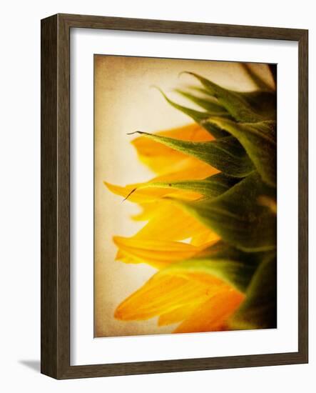 Late Bloomer-Jessica Rogers-Framed Giclee Print