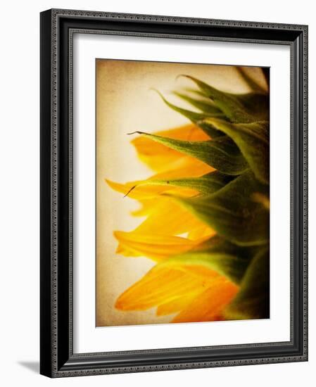 Late Bloomer-Jessica Rogers-Framed Giclee Print