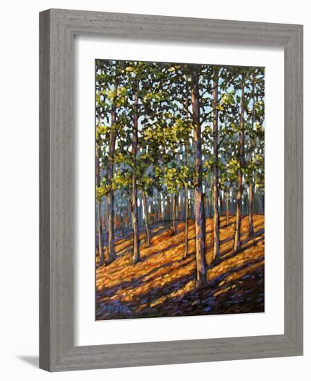 Late Day Light in Hudson Valley Woods-Patty Baker-Framed Art Print