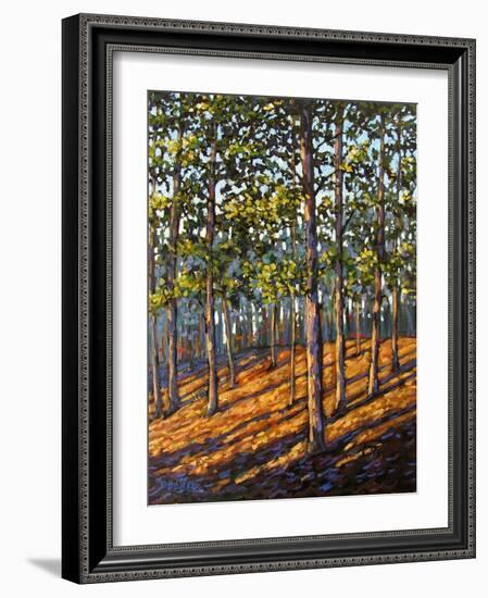 Late Day Light in Hudson Valley Woods-Patty Baker-Framed Art Print