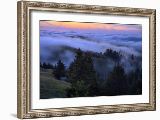 Late Drifting Fog After Sunset at Mount Tamalpais, Marin County-Vincent James-Framed Photographic Print