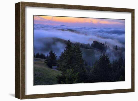 Late Drifting Fog After Sunset at Mount Tamalpais, Marin County-Vincent James-Framed Photographic Print