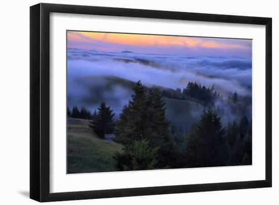 Late Drifting Fog After Sunset at Mount Tamalpais, Marin County-Vincent James-Framed Photographic Print