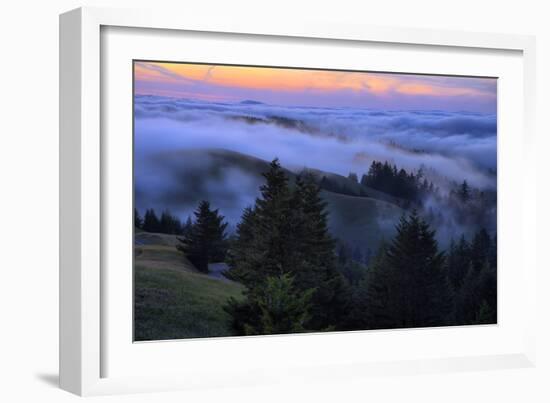 Late Drifting Fog After Sunset at Mount Tamalpais, Marin County-Vincent James-Framed Photographic Print