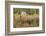 Late Fall. Round Pond, Barrington, New Hampshire-Jerry and Marcy Monkman-Framed Photographic Print
