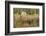 Late Fall. Round Pond, Barrington, New Hampshire-Jerry and Marcy Monkman-Framed Photographic Print