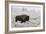 Late Fall Yellowstone-Alfred Forns-Framed Giclee Print