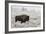 Late Fall Yellowstone-Alfred Forns-Framed Giclee Print