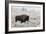 Late Fall Yellowstone-Alfred Forns-Framed Giclee Print