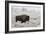 Late Fall Yellowstone-Alfred Forns-Framed Giclee Print