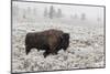 Late Fall Yellowstone-Alfred Forns-Mounted Giclee Print
