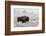 Late Fall Yellowstone-Alfred Forns-Framed Photographic Print