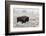 Late Fall Yellowstone-Alfred Forns-Framed Photographic Print