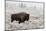 Late Fall Yellowstone-Alfred Forns-Mounted Photographic Print