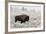 Late Fall Yellowstone-Alfred Forns-Framed Photographic Print