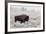 Late Fall Yellowstone-Alfred Forns-Framed Photographic Print